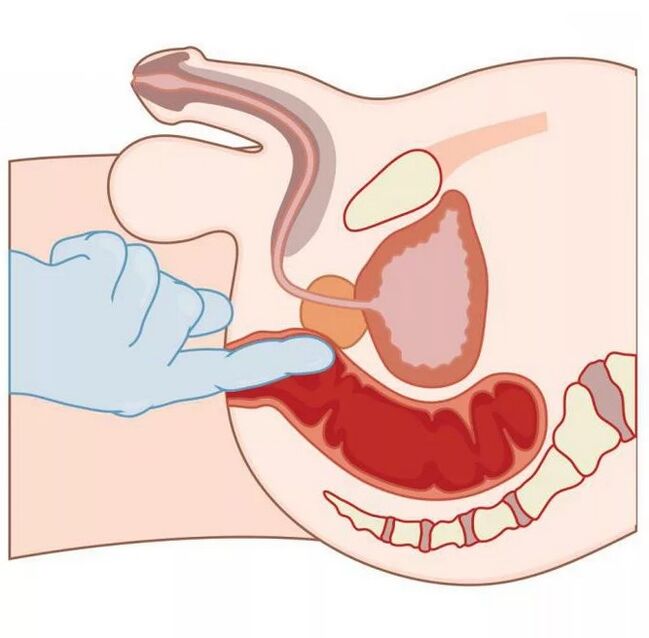 Localizzazione del punto G maschile