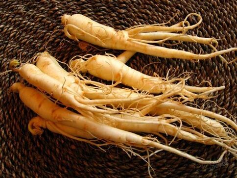 Radice di ginseng per aumentare la potenza dopo i 60 anni